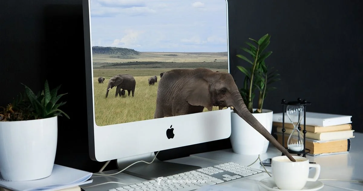 Scanner Health Check - Scanner Check