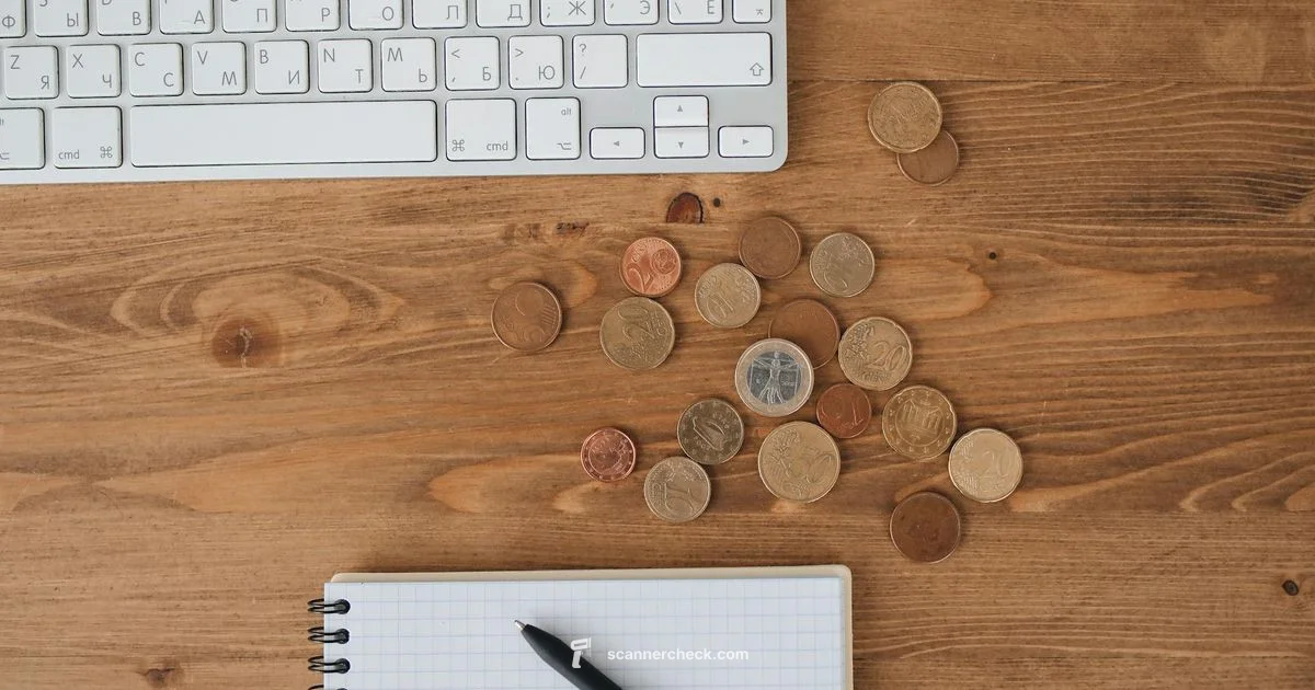 Coin ID Scanner Guide - Scanner Check