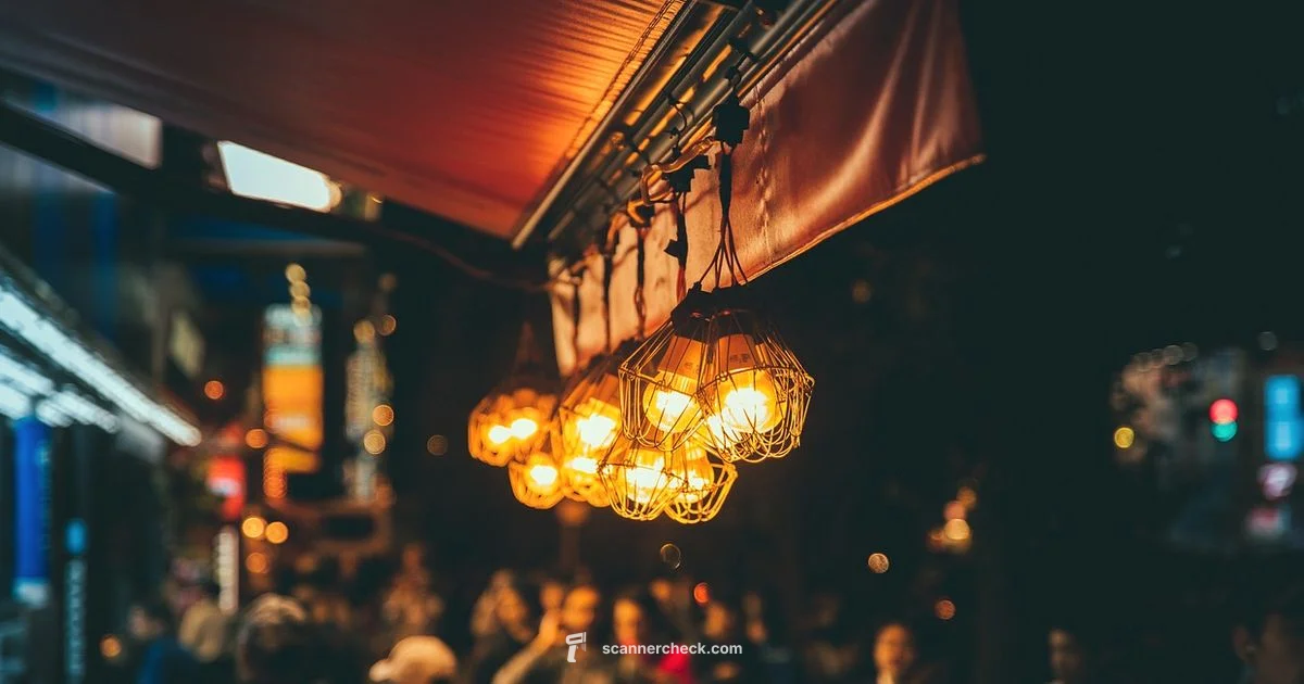 Night Scanner Guide - Scanner Check