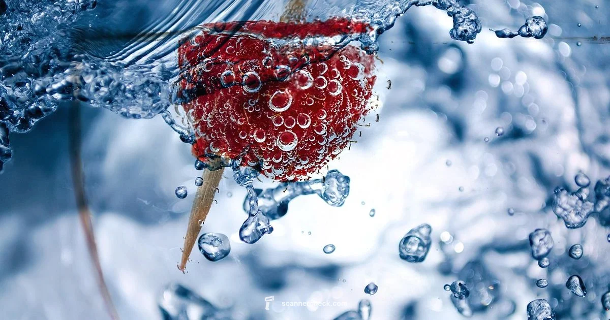 Aqua Scanner Guide - Scanner Check