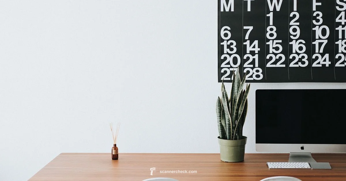 Scan vs Photocopy - Scanner Check