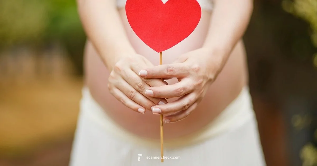 Scanner Safety for Pregnancy - Scanner Check