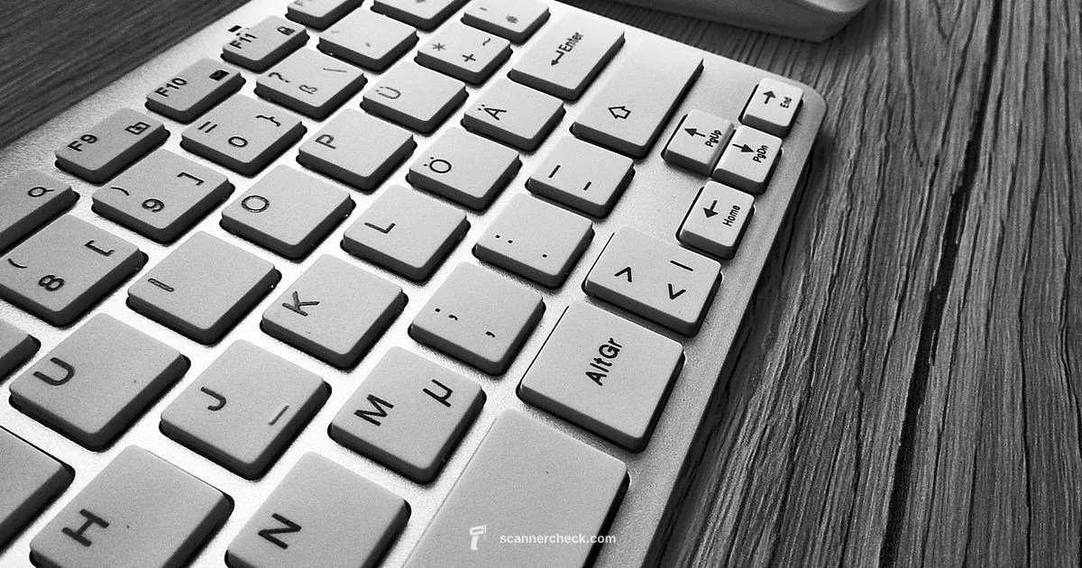 Idle Scanner Fix - Scanner Check