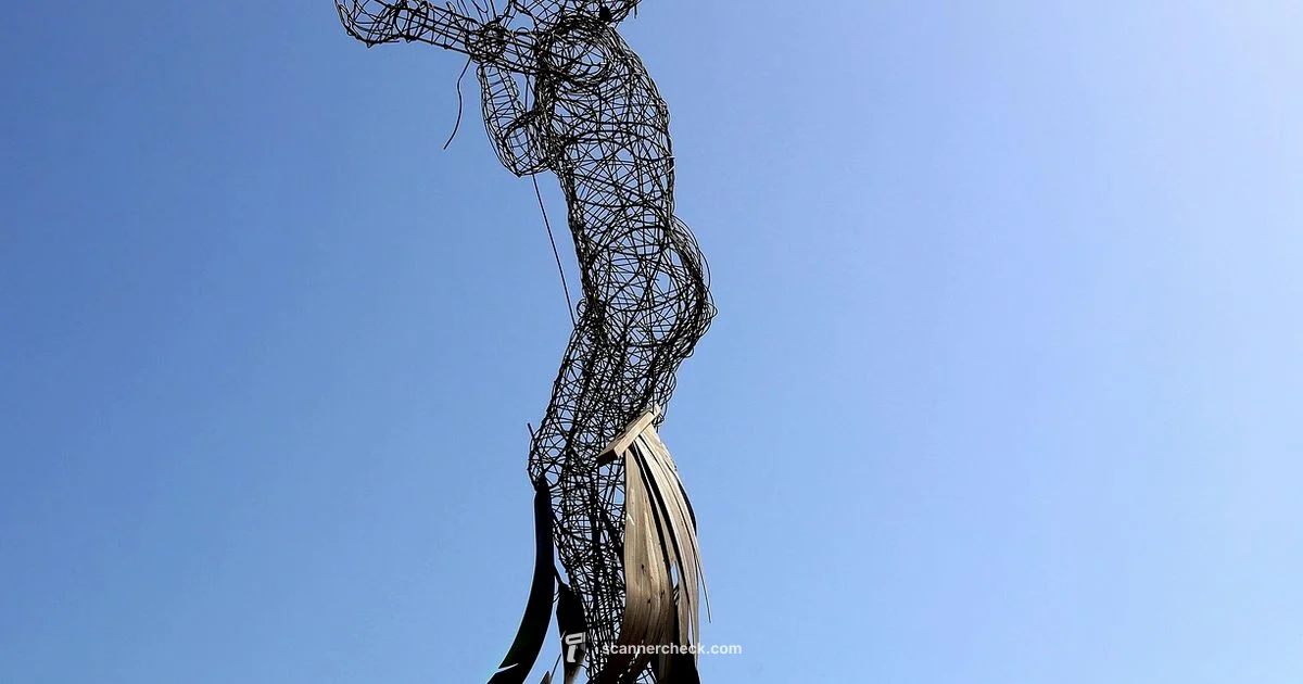 artec3d Scanning Guide - Scanner Check