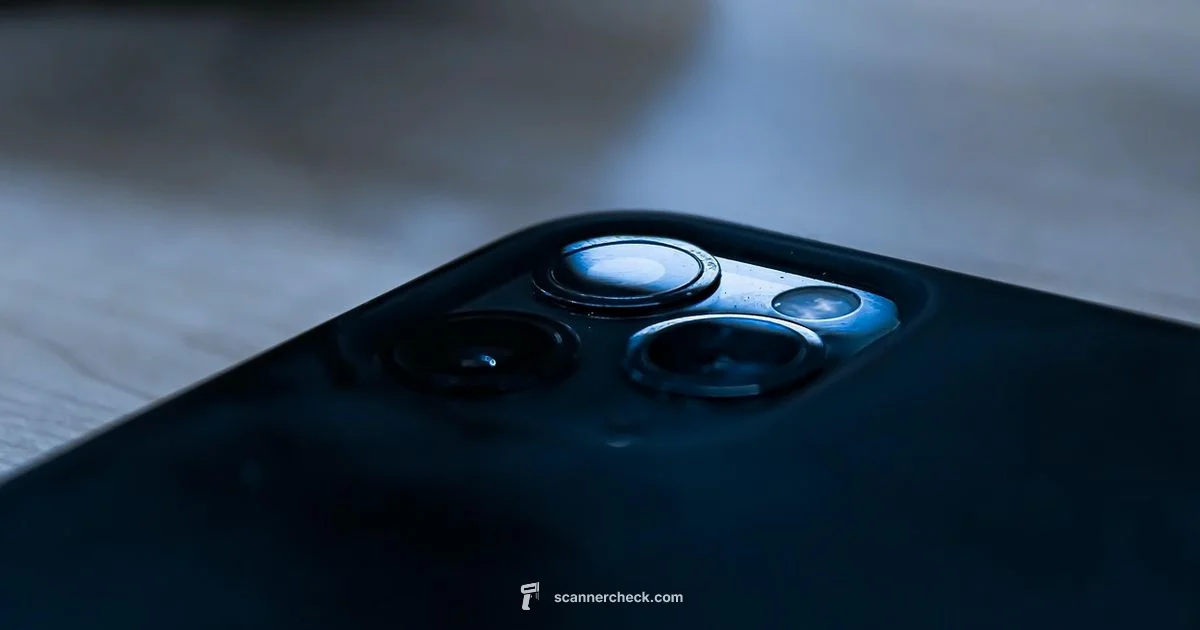 Scanner Input Output - Scanner Check