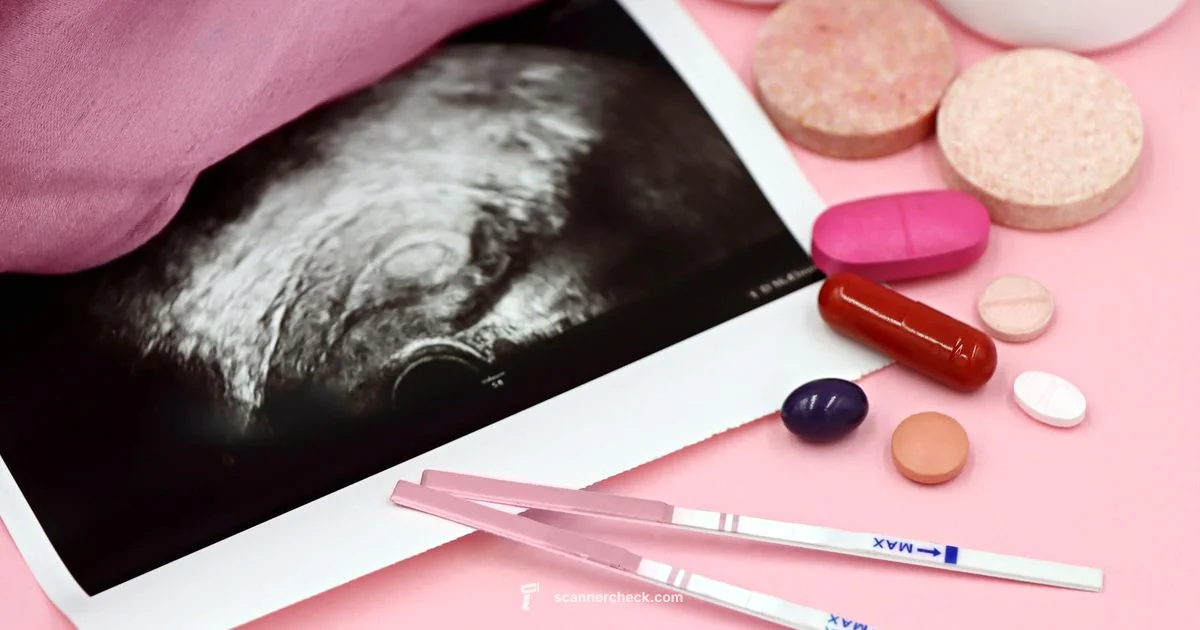 20-Week Ultrasound 20-Week Ultrasound - Scanner Check