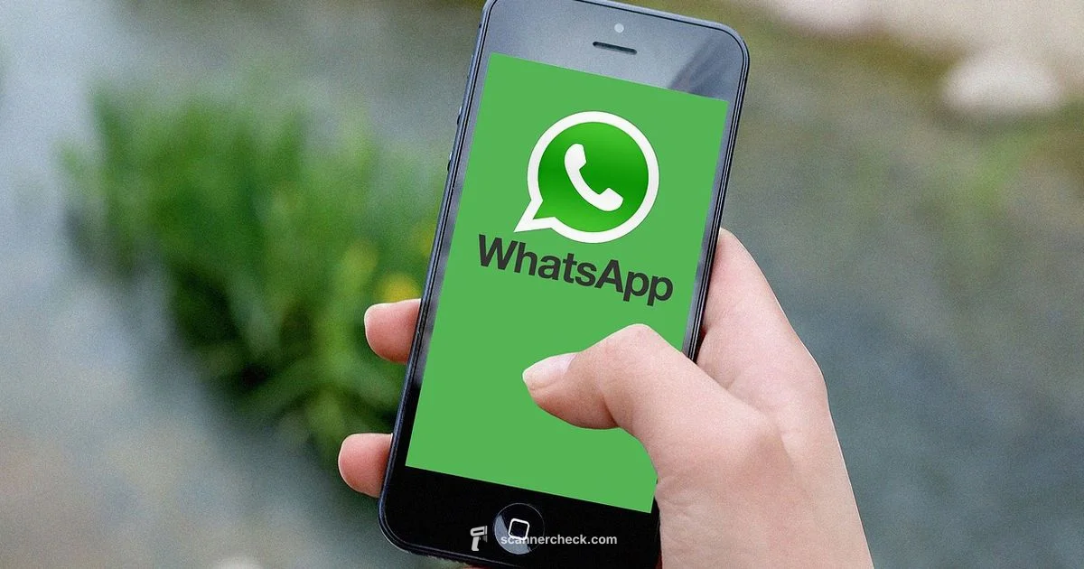 Scan QR Codes Fast Scan QR Codes Fast - Scanner Check