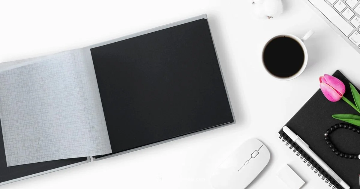 Top Photo Scanners 2026 Top Photo Scanners 2026 - Scanner Check