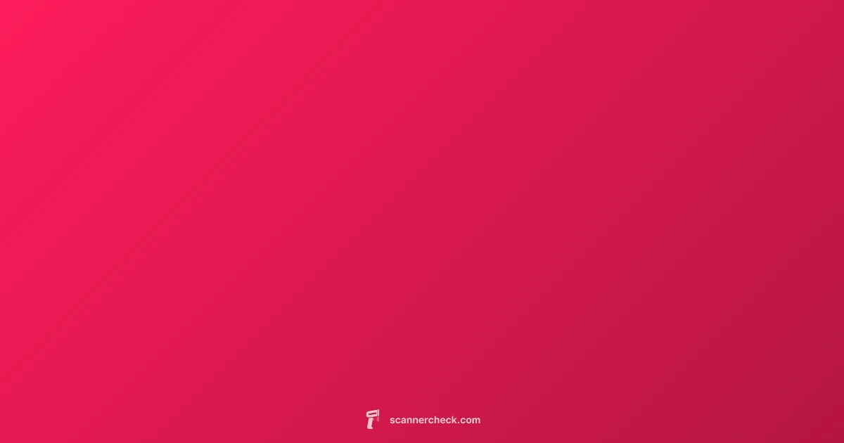 Launch Scanners Overview - Scanner Check (illustration)