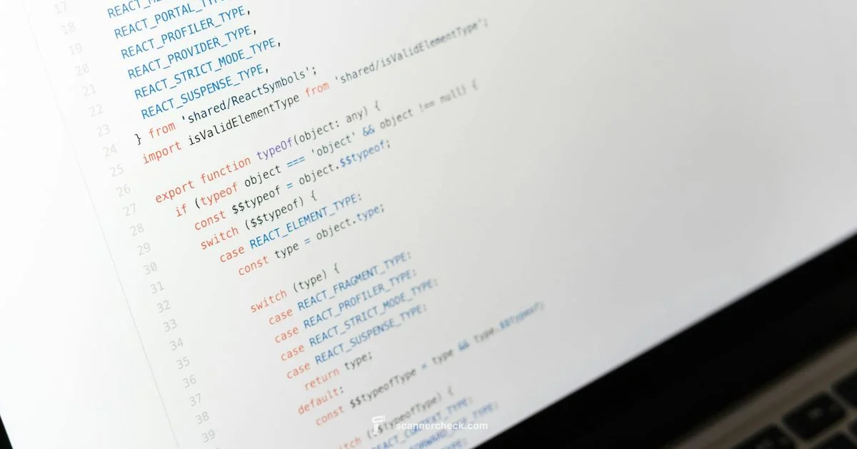 Scanner in Java Scanner in Java - Scanner Check