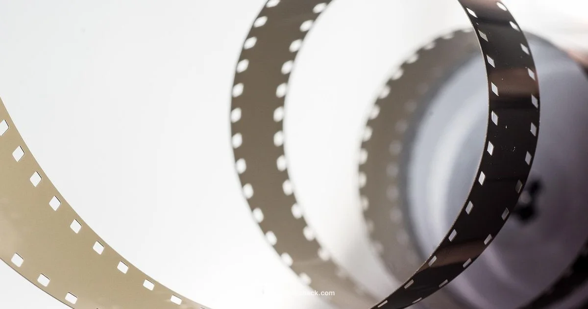 Movie Scanner Setup - Scanner Check