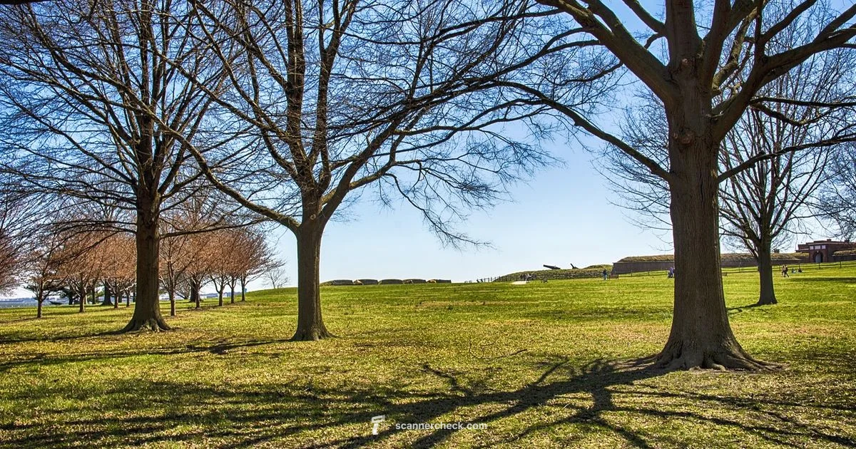 Lake McHenry Scanner Guide - Scanner Check