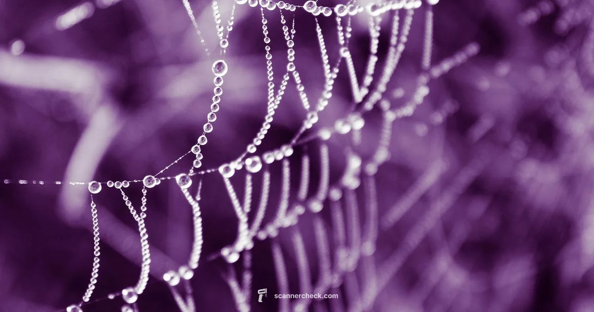 Web Scan Guide - Scanner Check