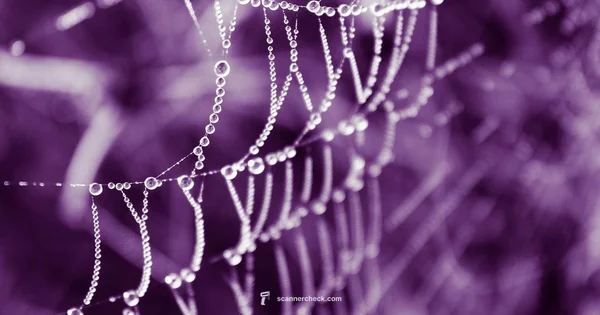 Web Scan Guide - Scanner Check