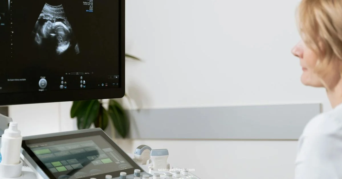 Body Composition Scan Body Composition Scan - Scanner Check