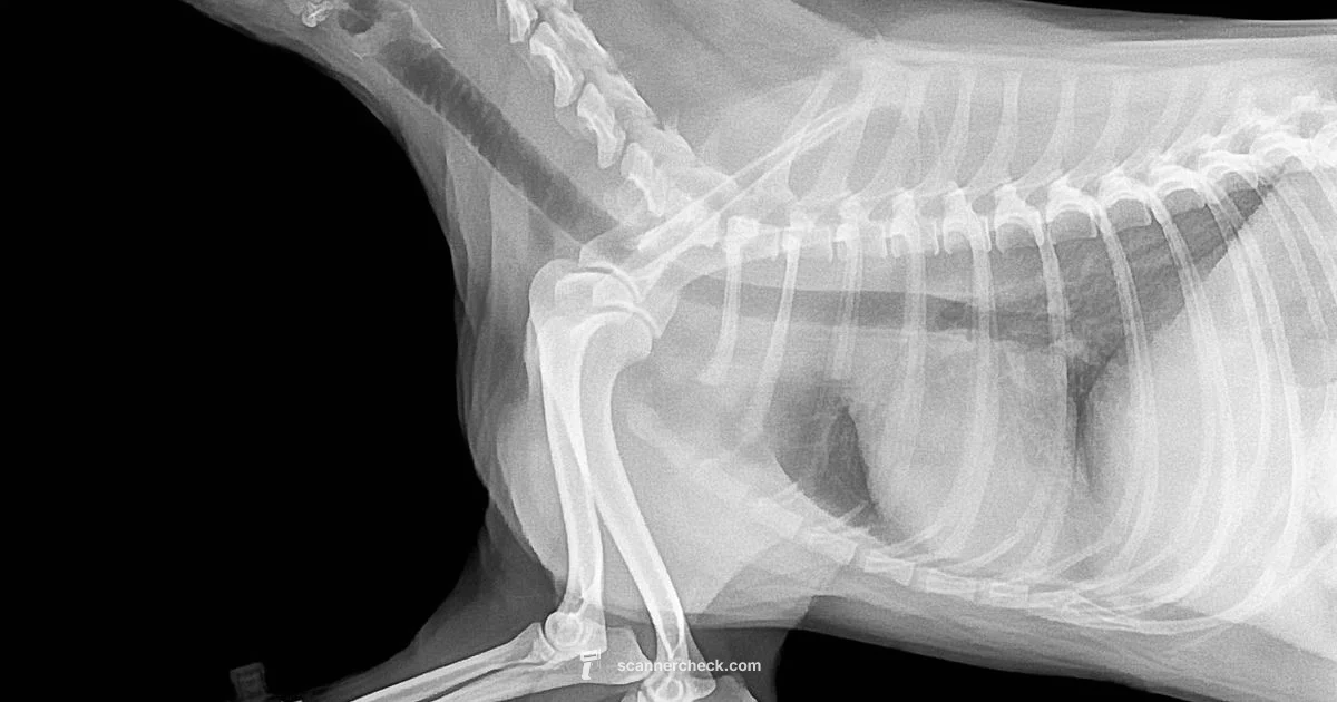 CT Radiation Guide CT Radiation Guide - Scanner Check