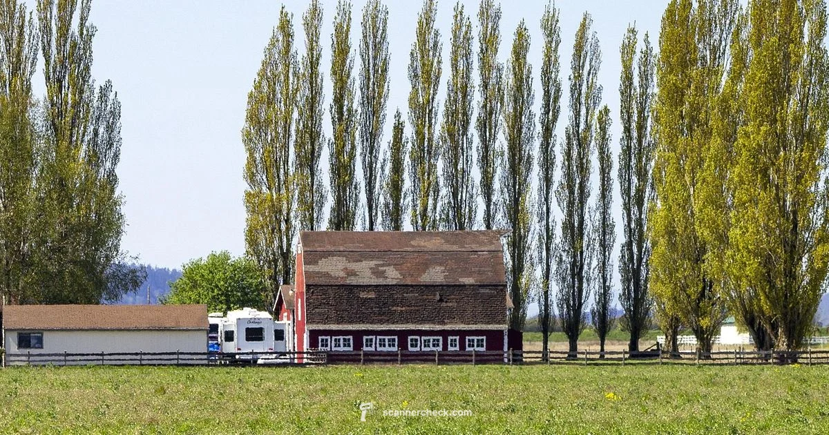 Skagit County Scanner - Scanner Check