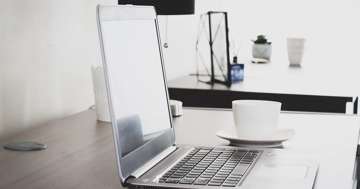 Home Printer and Scanner Guide Home Printer and Scanner Guide - Scanner Check