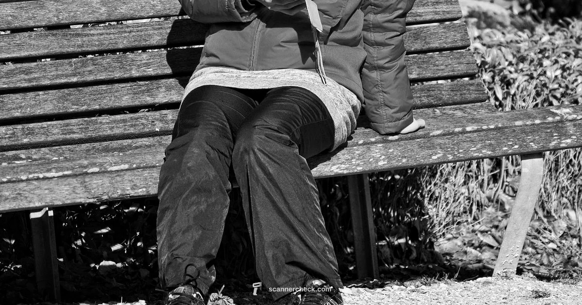 WhatsApp Scan Guide - Scanner Check