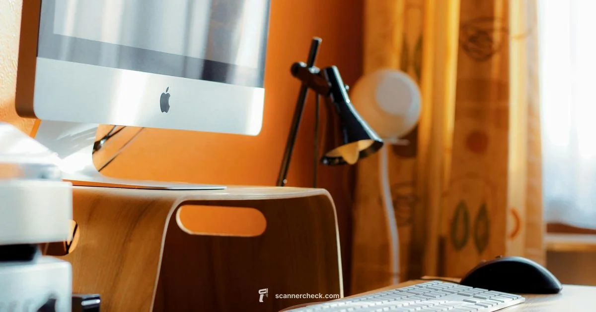 1200 DPI Insights - Scanner Check