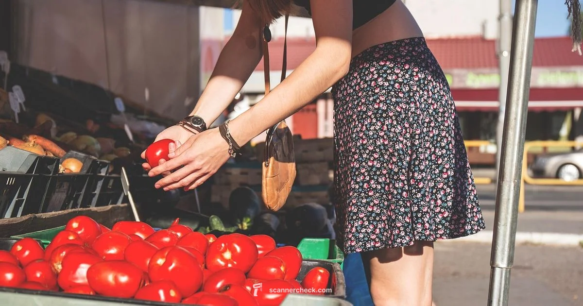 Barcode Scanner Guide - Scanner Check