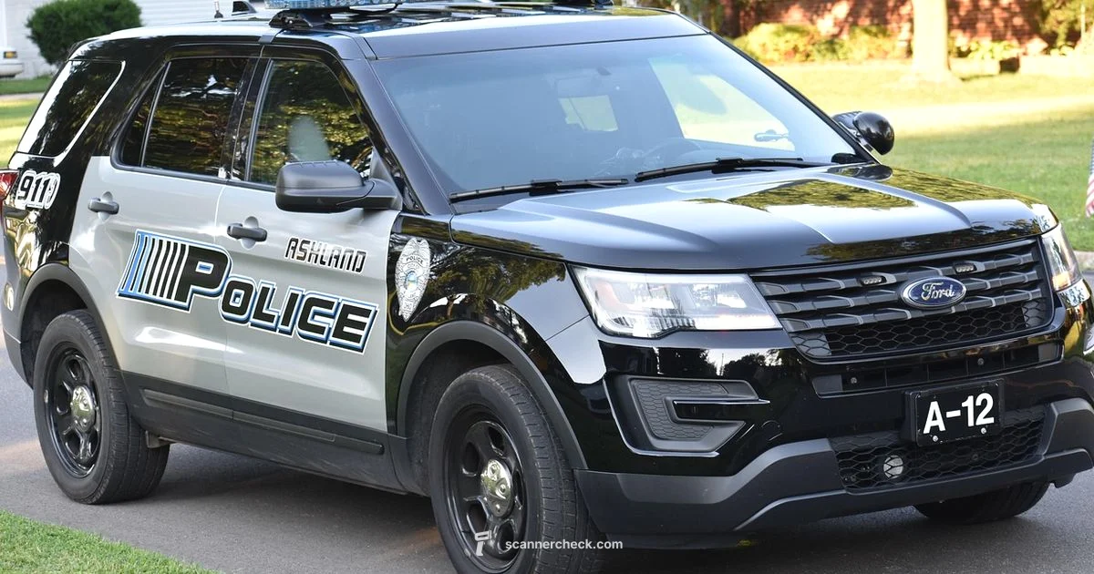 Federal Way Scanner Guide - Scanner Check