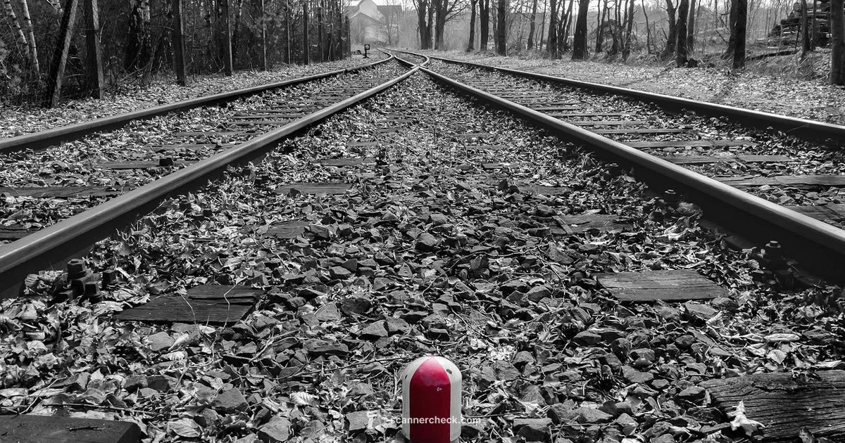 Black Line Fix Black Line Fix - Scanner Check