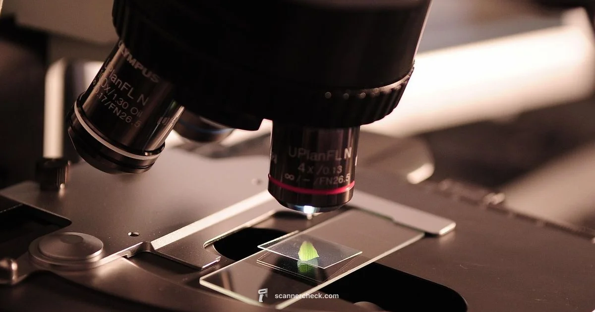 XRF Scanner Guide - Scanner Check