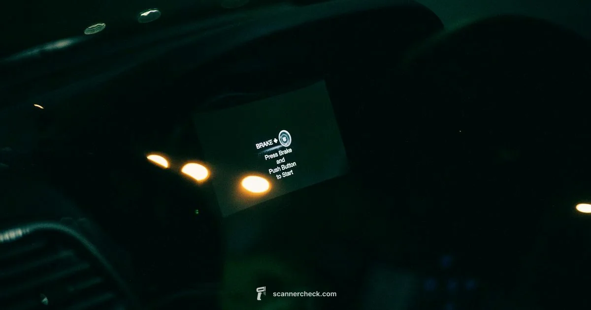 Vehicle Code Scanner Guide Vehicle Code Scanner Guide - Scanner Check