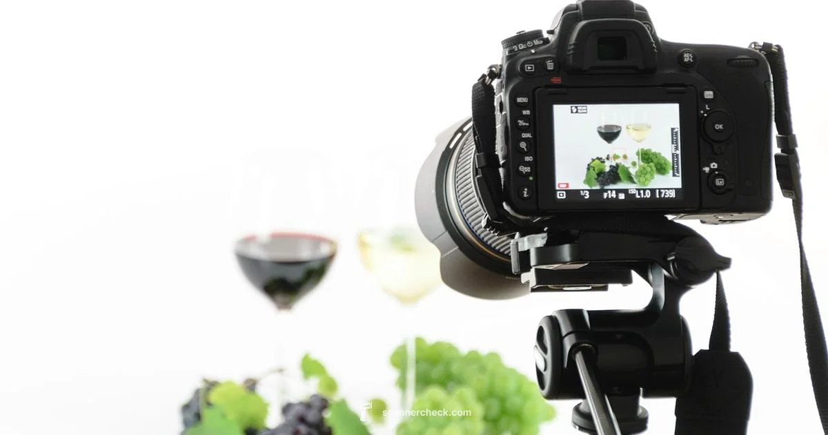 Image Scanning Guide - Scanner Check