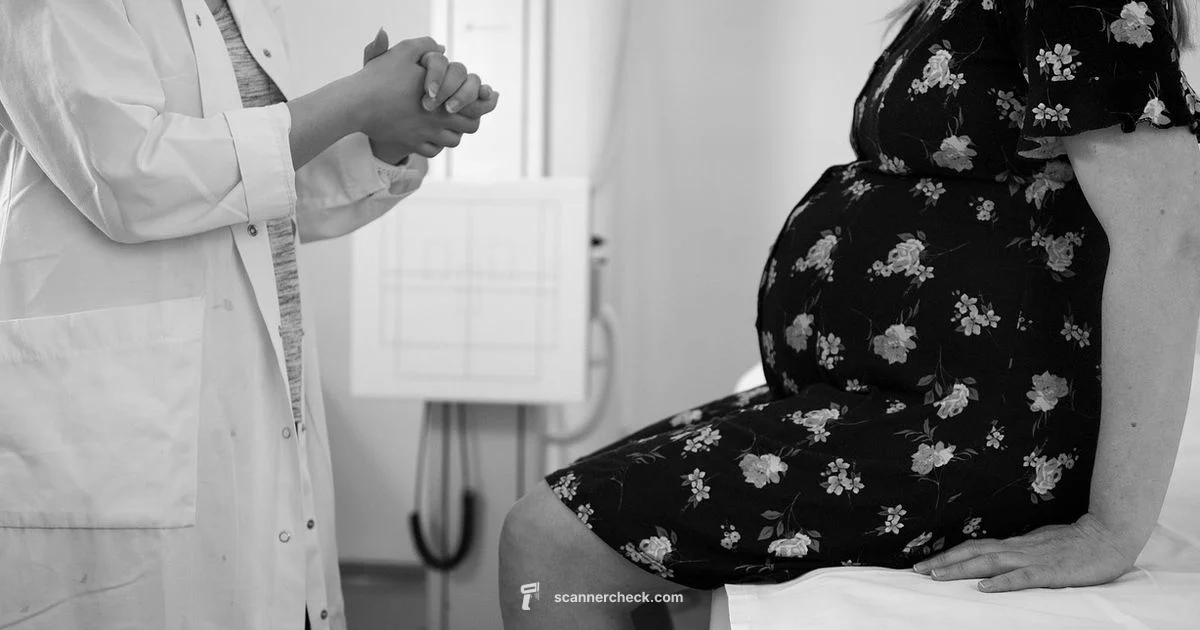 Imaging in Action - Scanner Check