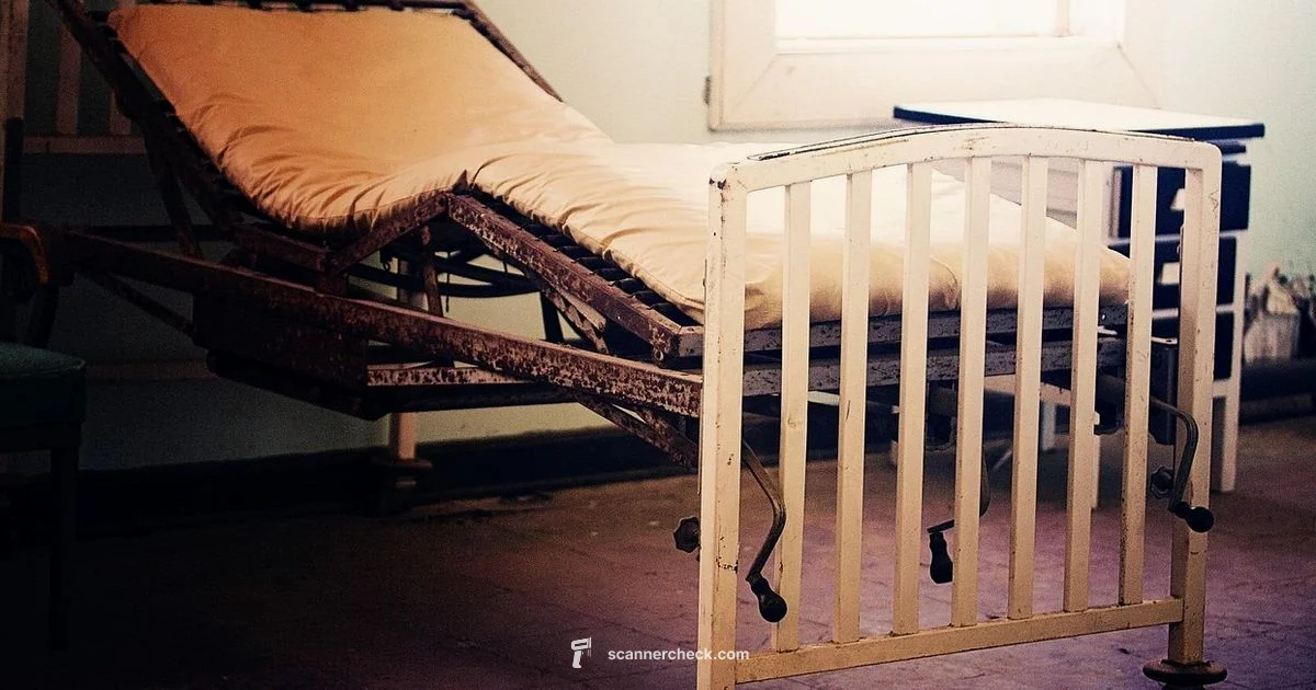 CT Scanner Look - Scanner Check