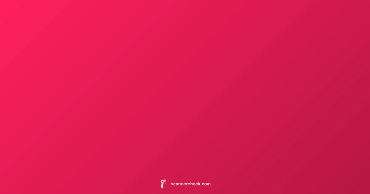 Scanner in Java - Scanner Check (illustration)