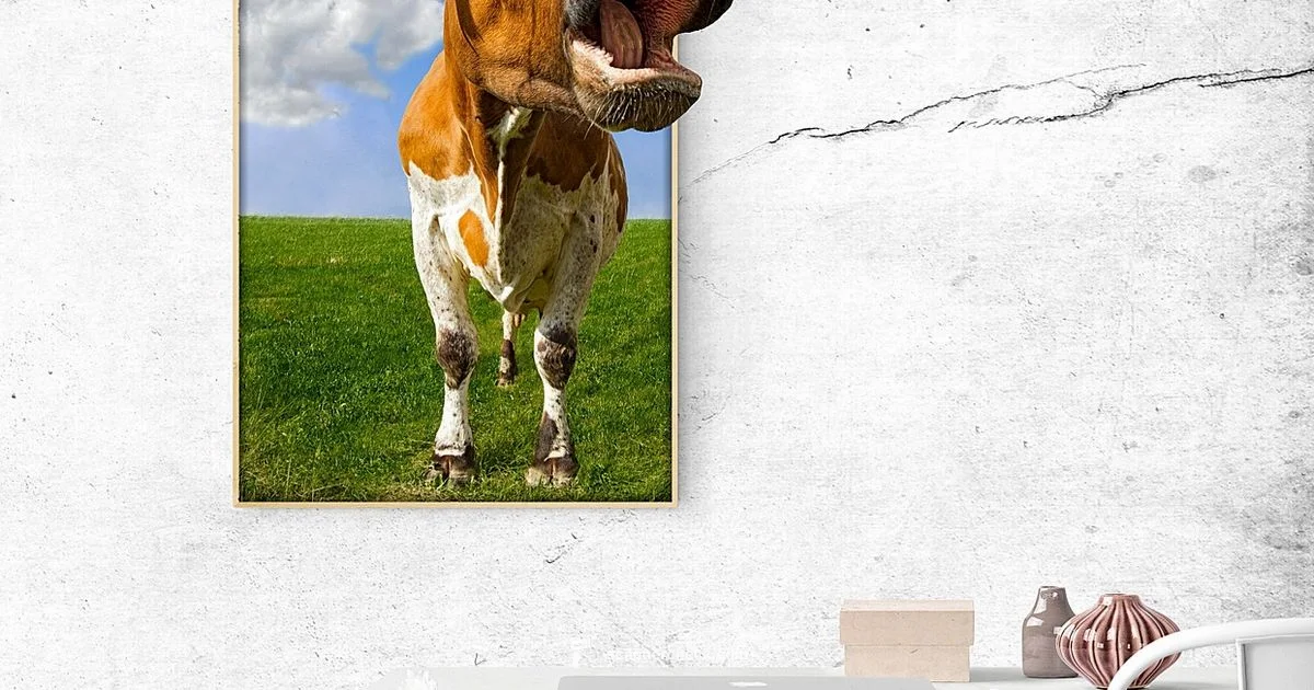 3D Scanner Guide - Scanner Check