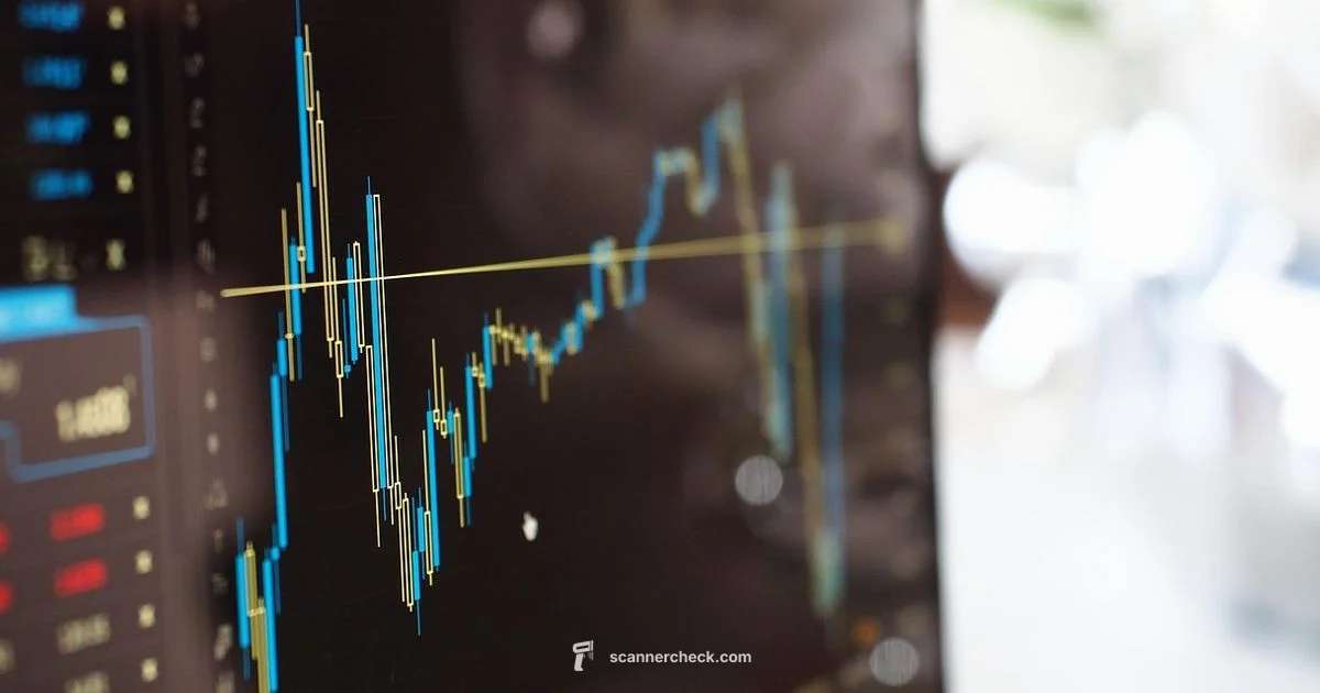 Stock Price Scanner - Scanner Check