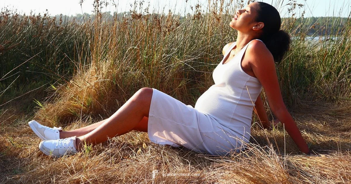 Pregnancy Scan Costs - Scanner Check