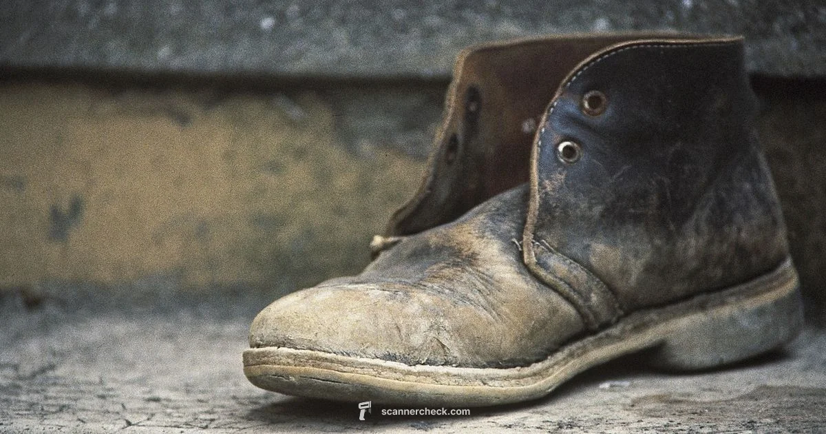 Verify Shoes Verify Shoes - Scanner Check