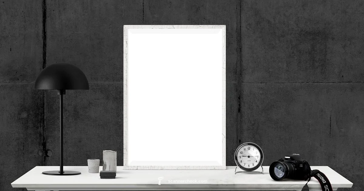 V850 Scanner Essentials - Scanner Check