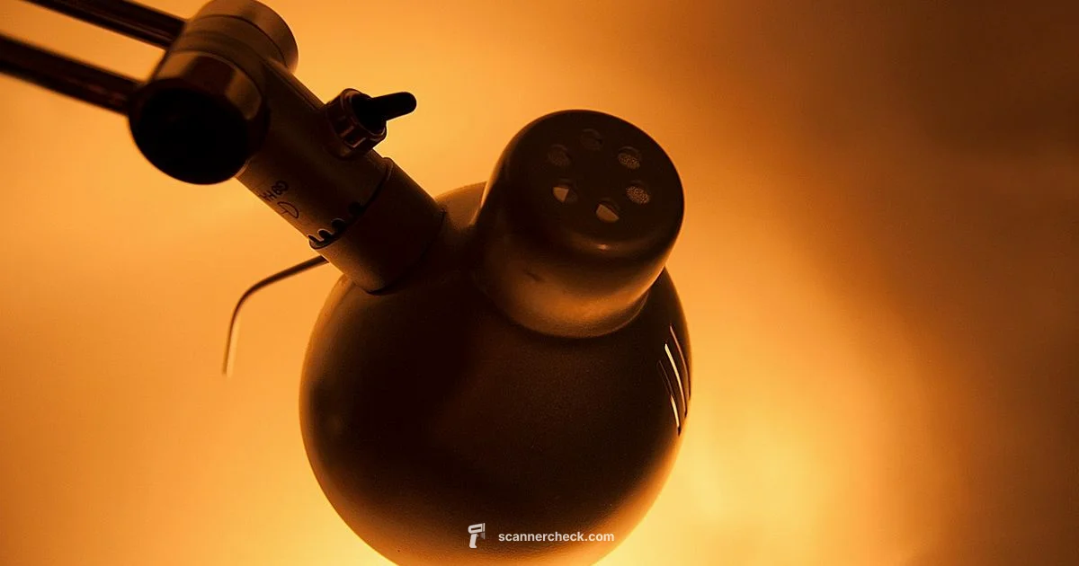 Sports Card Scanner Guide - Scanner Check