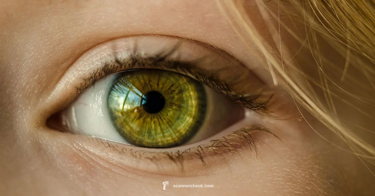 Eye Scanner Tech - Scanner Check