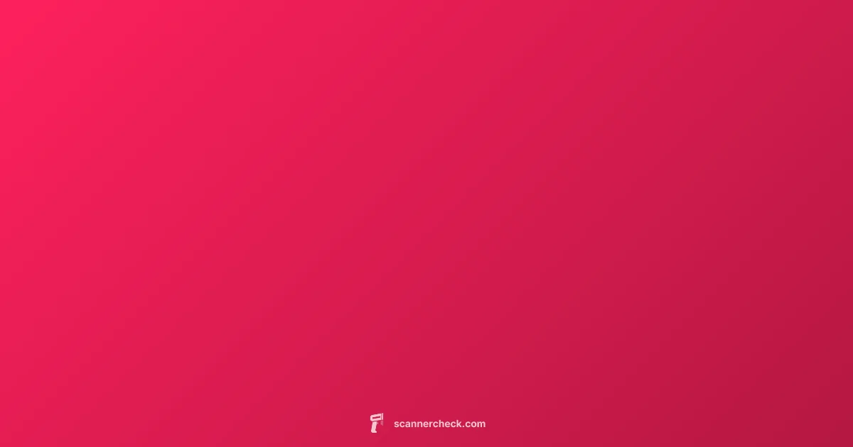 Vulnerability Scanner Guide - Scanner Check (illustration)