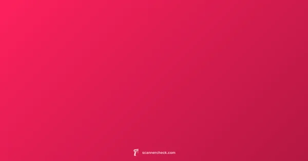 Vulnerability Scanner Guide - Scanner Check (illustration)