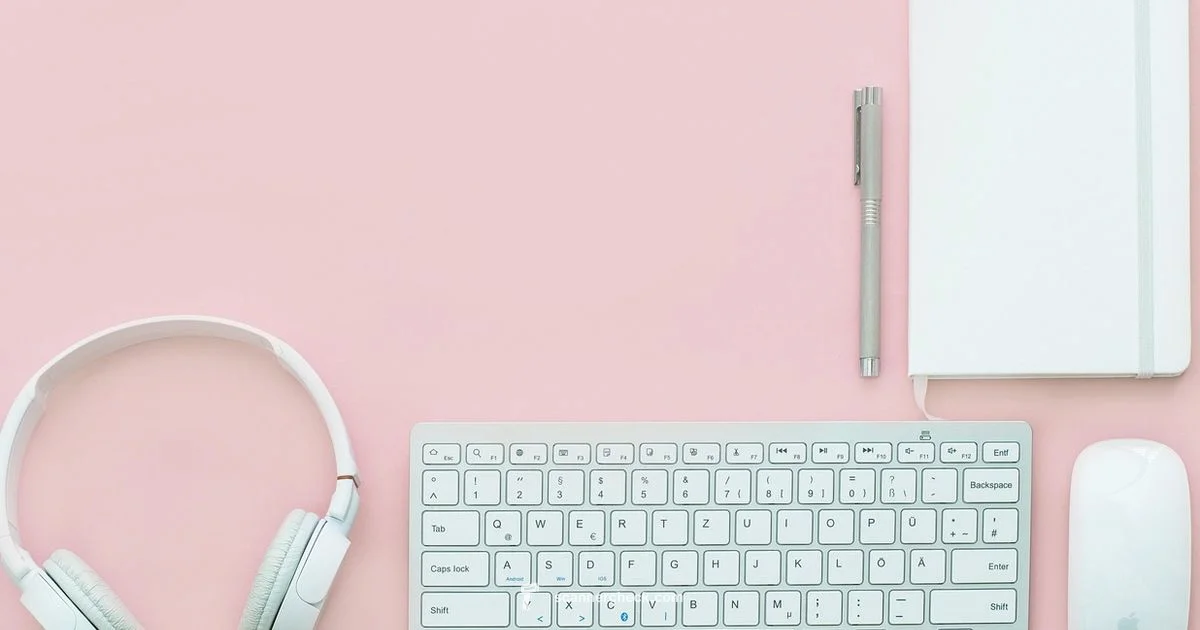 Scanner Error Guide - Scanner Check