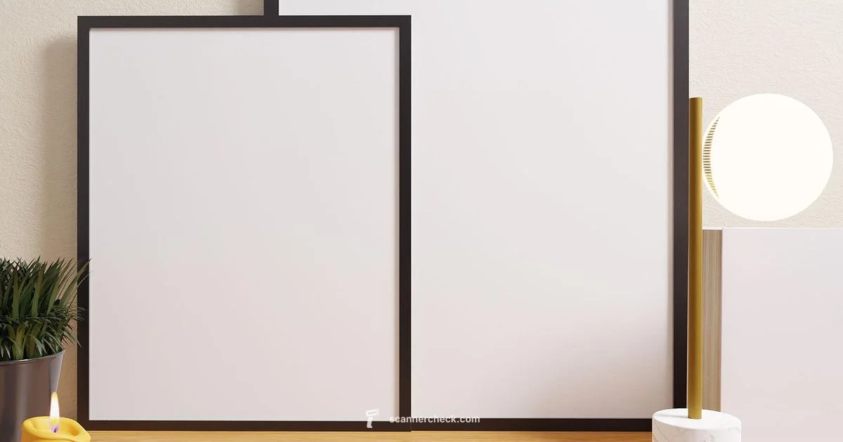 Photo to Digital - Scanner Check