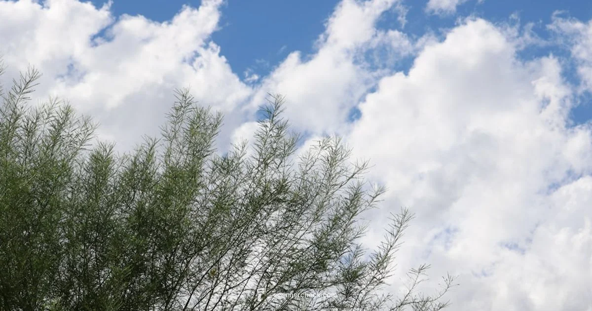 LiDAR Scanning Essentials - Scanner Check