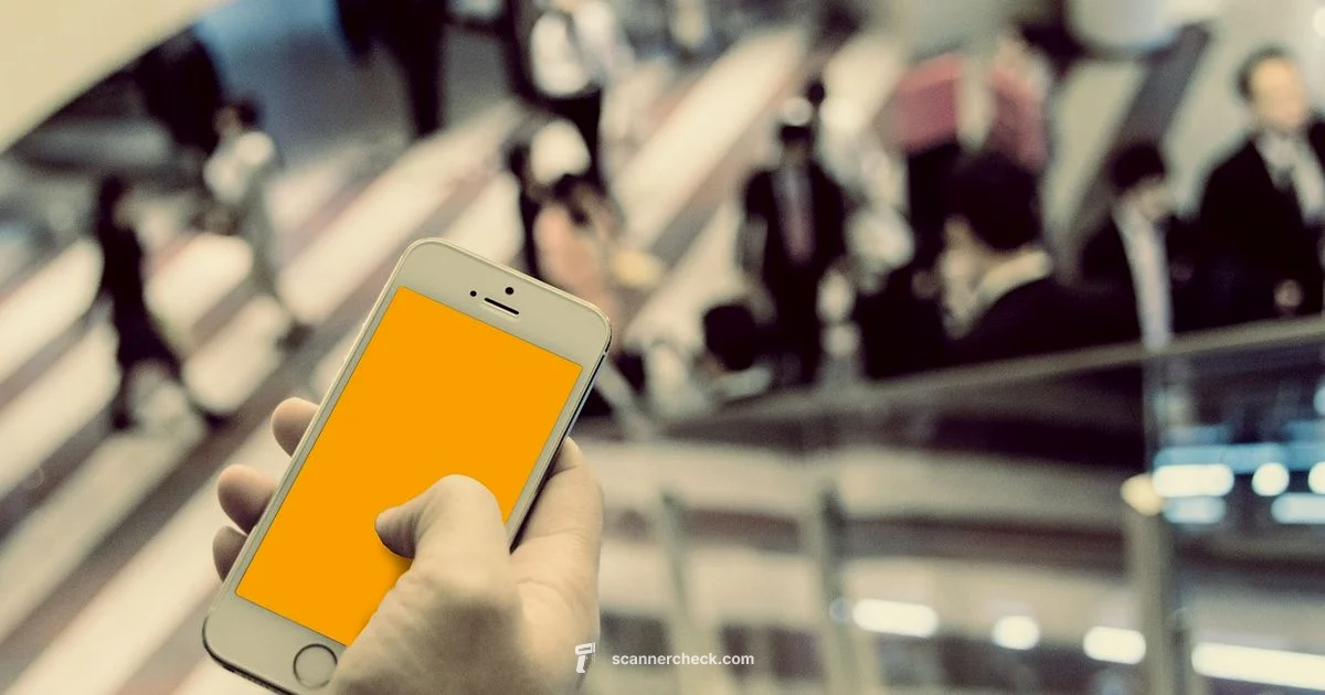 Email Setup - Scanner Check