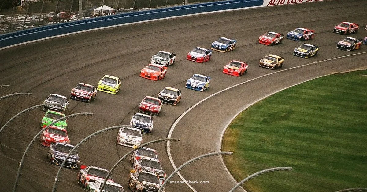 OBD2 Scanner Guide - Scanner Check