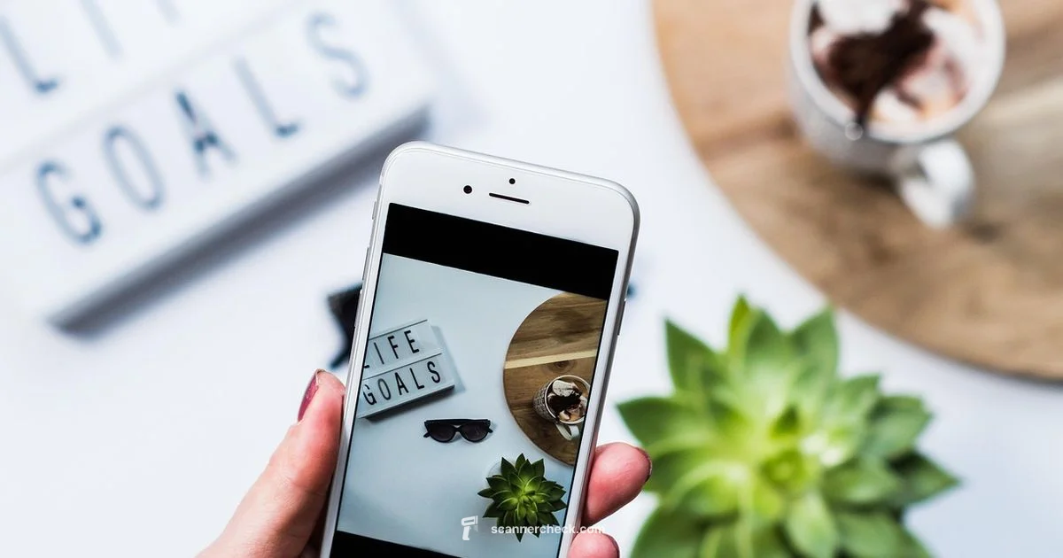 Mobile 3D Scan Master - Scanner Check