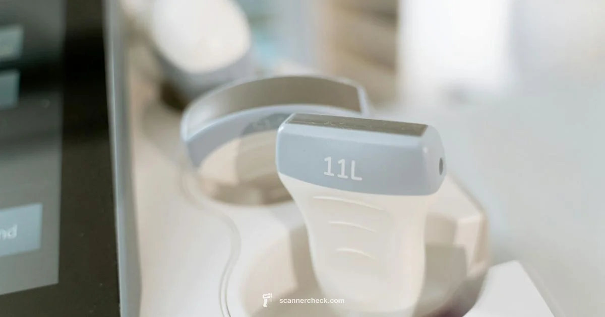 DEXA Cost Guide - Scanner Check