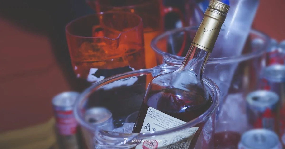 Alcohol Scan Guide - Scanner Check